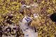 Matt Flynn, 2007 National Championship