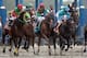 ELMONT, NY - JUNE 11: Jockey John Velazquez aboard Animal Kingdom #9 breaks from the starting gate during the 143rd running of the Belmont Stakes at Belmont Park on June 11, 2011 in Elmont, New York. (Photo by Rob Carr/Getty Images)