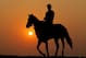 ELMONT, NY - JUNE 09: A horse and exercise rider work on the track during a morning training session in preparation for The Belmont Stakes at Belmont Park on June 9, 2011 in Elmont, New York. (Photo by Al Bello/Getty Images)