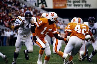 791125_bsa_vikings_bucs_11591_crop_north