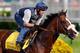 LOUISVILLE, KY - MAY 03: Union Rags trains on the track in preparation for the 138th Kentucky Derby at Churchill Downs on May 3, 2012 in Louisville, Kentucky. (Photo by Rob Carr/Getty Images)