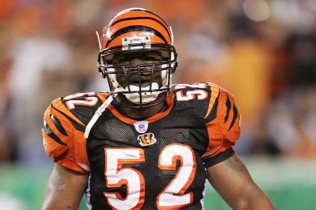 Nate Webster Jail Sentence: Ex-Bengals Player Gets 12 Years in Prison