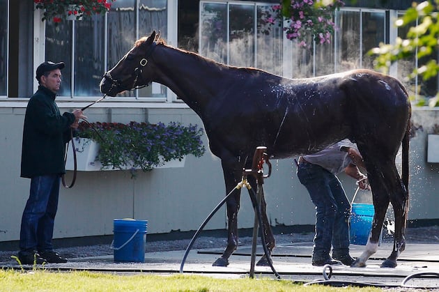 Dullahan Trainer: Belmont Barn Situation 'Ridiculous'