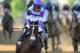 BALTIMORE, MD - MAY 19: I'll Have Another ridden by Mario Gutierrez crosses the finish line to win the 137th running of the Preakness Stakes at Pimlico Race Course on May 19, 2012 in Baltimore, Maryland. (Photo by Patrick Smith/Getty Images)