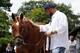 Trainer Doug O'Neill took the news hard with I'll Have Another when the decision was made to scratch the Triple Crown contender on Friday. UPI/John Angelillo