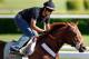 ELMONT, NY - JUNE 07: Exercise rider Jonny Garcia takes Triple Crown hopefull I'll Have Another over the track in preparation for the 144th Belmont Stakes at Belmont Park on June 7, 2012 in Elmont, New York. (Photo by Rob Carr/Getty Images)