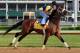 LOUISVILLE, KY - MAY 03: Optimizer trains on the track in preparation for the 138th Kentucky Derby at Churchill Downs on May 3, 2012 in Louisville, Kentucky. (Photo by Rob Carr/Getty Images)