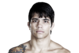ufc.com