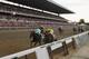 ELMONT, NY - JUNE 09: (EDITORS NOTE: A VARIABLE FOCAL PLANE LENSE WAS USED TO CREATE THIS IMAGE) Union Rags ridden by John Velazquez (R) beats Paynter ridden by Mike Smith (L) at the wire to win the 144th Belmont Stakes at Belmont Park on June 9, 2012 in Elmont, New York. (Photo by Rob Carr/Getty Images)