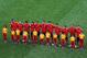 GDANSK, POLAND - JUNE 10: Players of Spain stand together during their national anthem prior to the UEFA EURO 2012 group C match between Spain and Italy at The Municipal Stadium on June 10, 2012 in Gdansk, Poland. (Photo by Alex Grimm/Getty Images)