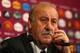 GDANSK, POLAND - JUNE 10: In this handout image provided by UEFA, Spain coach Vicente del Bosque talks to the media during a press conference on June 10, 2012 in Gdansk, Poland. (Photo by Handout/UEFA via Getty Images)