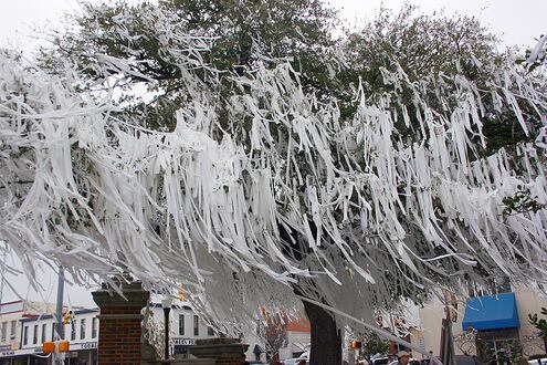 Report: Harvey Updyke Admits to Poisoning Toomer's Corner Oaks