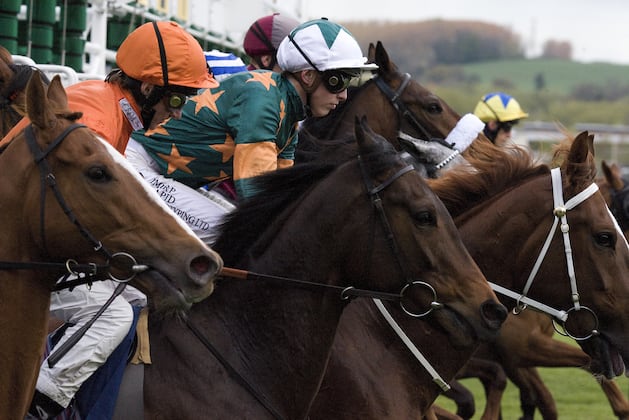 Supporters Say Legislation Would Rescue Michigan HorseRacing