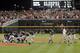 OMAHA, NE - JUNE 25: The Arizona Wildcats team celebrates a 4-1 win and a 2-0 series sweep of the South Carolina Gamecocks during game 2 of the College World Series at TD Ameritrade Field on June 25, 2012 in Omaha, Nebraska. (Photo by Harry How/Getty Images)
