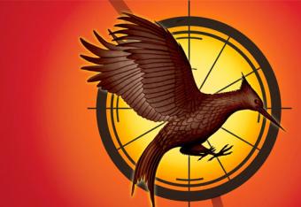 Catchingfire_crop_north