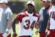 Can Ryan Williams challenge Beanie Wells for the starting running back job?