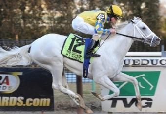 Hansen-coglianese-500x400_crop_north
