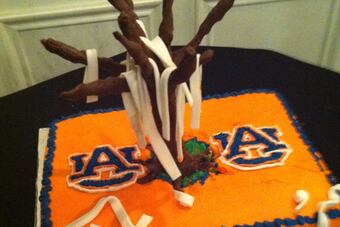 Auburn-cake_crop_north