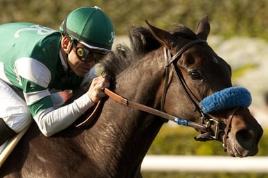 Lady of Shamrock Finds Room on Rail to Win American Oaks