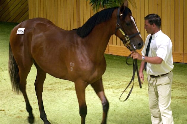 Unraced Virtual Horse Sells for $5,250