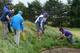 LYTHAM ST ANNES, ENGLAND - JULY 19: Phil Mickelson of the United States searches for his golf ball on the eighth hole during the first round of the 141st Open Championship at Royal Lytham & St Annes Golf Club on July 19, 2012 in Lytham St Annes, England. (Photo by Harry How/Getty Images)
