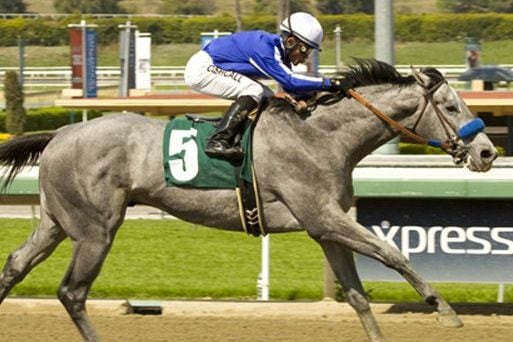 Horse Co-Owned by Drew Brees Comes out OK