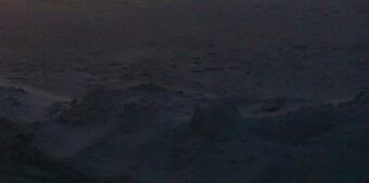 _piccol1comewalkwithme_crop_north