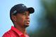 LYTHAM ST ANNES, ENGLAND - JULY 22: Tiger Woods of the United States walks off a tee box during the final round of the 141st Open Championship at Royal Lytham & St. Annes Golf Club on July 22, 2012 in Lytham St Annes, England. (Photo by Stuart Franklin/Getty Images)