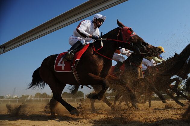 World's Fastest Man Has Equine Rival — Usain Colt