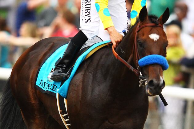 Paynter Has Favorite's Role in Six-Horse Haskell Field