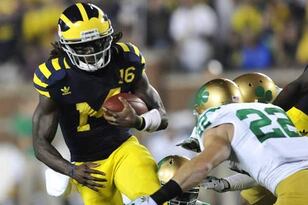 D-robinson_crop_north