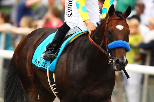 Baffert's Paynter Roars to Haskell Invitational Win