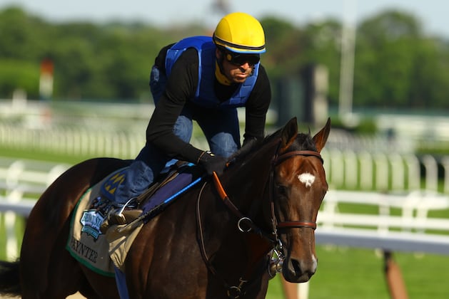 The Other Horse Becomes The Horse