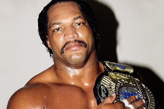 Ron_Simmons_Bio_0001_crop_north.png