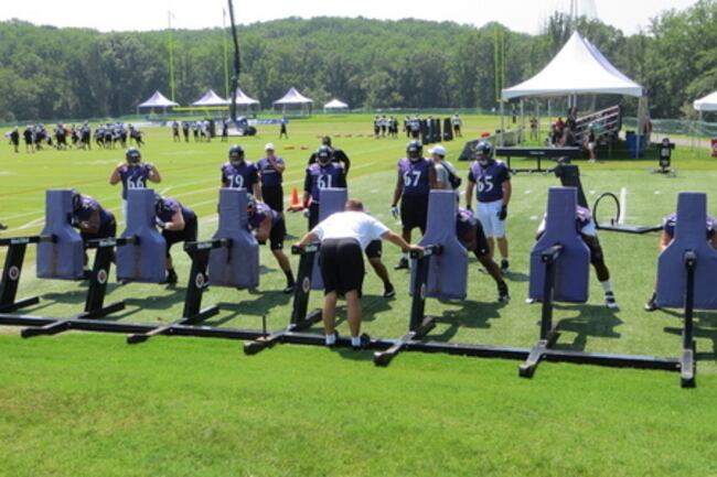 Oline_crop_north