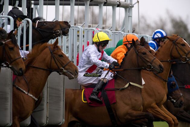 Chasing Horse of the Year