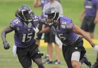 Ravens_crop_north