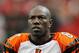 ATLANTA - OCTOBER 24: Terrell Owens #81 of the Cincinnati Bengals against the Atlanta Falcons at Georgia Dome on October 24, 2010 in Atlanta, Georgia. (Photo by Kevin C. Cox/Getty Images)