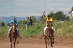 Horse Racing Gains Popularity