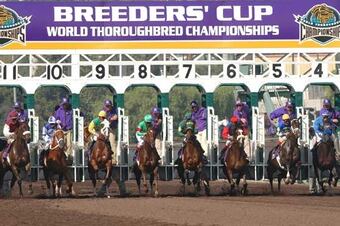 Breed_crop_north