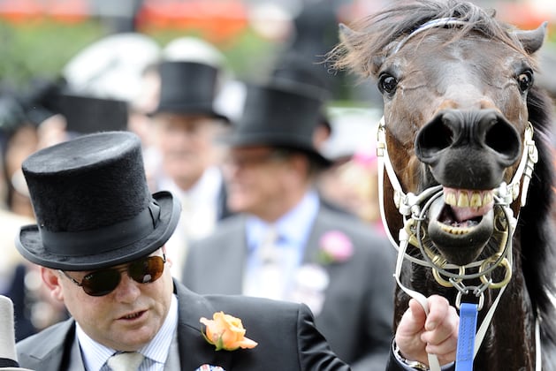 Will Frankel and Black Caviar Breed Superhorses?