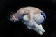 LONDON, ENGLAND - AUGUST 11: David Boudia of the United States competes in the Men's 10m Platform Diving Final on Day 15 of the London 2012 Olympic Games at the Aquatics Centre on August 11, 2012 in London, England. (Photo by Al Bello/Getty Images)