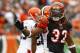 CINCINNATI, OH - NOVEMBER 27: Cedric Benson #32 of the Cincinnati Bengals after a running play against the Cleveland Browns at Paul Brown Stadium on November 27, 2011 in Cincinnati, Ohio. (Photo by Tyler Barrick /Getty Images)