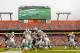 MIAMI GARDENS, FL - NOVEMBER 20: Matt Moore #8 of the Miami Dolphins hands off to Daniel Thomas #33 during a game against the Buffalo Bills at Sun Life Stadium on November 20, 2011 in Miami Gardens, Florida. (Photo by Mike Ehrmann/Getty Images)