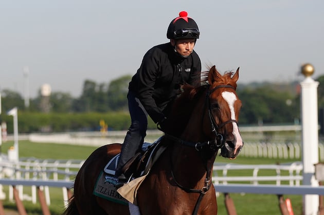 Dullahan all ready for Pacific Classic | Horse Racing | Bradenton Herald