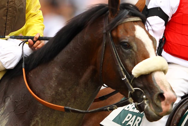 Union Rags to Stand at Lane's End in 2013