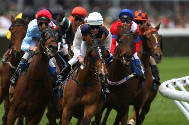 Animal Rights Groups Want End to Italy Horse Race