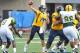 WVU Sports.com