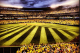 Photo Credit: Seattle Mariners http://instagram.com/p/OnlGw4ASHa/