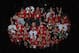 CHICAGO, IL - APRIL 17: Fans of the Chicago Blackhawks cheer during the National Anthem before the Blackhawks take on the Phoenix Coyotes in Game Three of the Western Conference Quarterfinals during the 2012 NHL Stanley Cup Playoffs at the United Center on April 17, 2012 in Chicago, Illinois. The Coyotes defeated the Blackhawks 3-2 in overtime. (Photo by Jonathan Daniel/ Getty Images)
